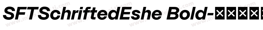 SFTSchriftedEshe Bold字体转换